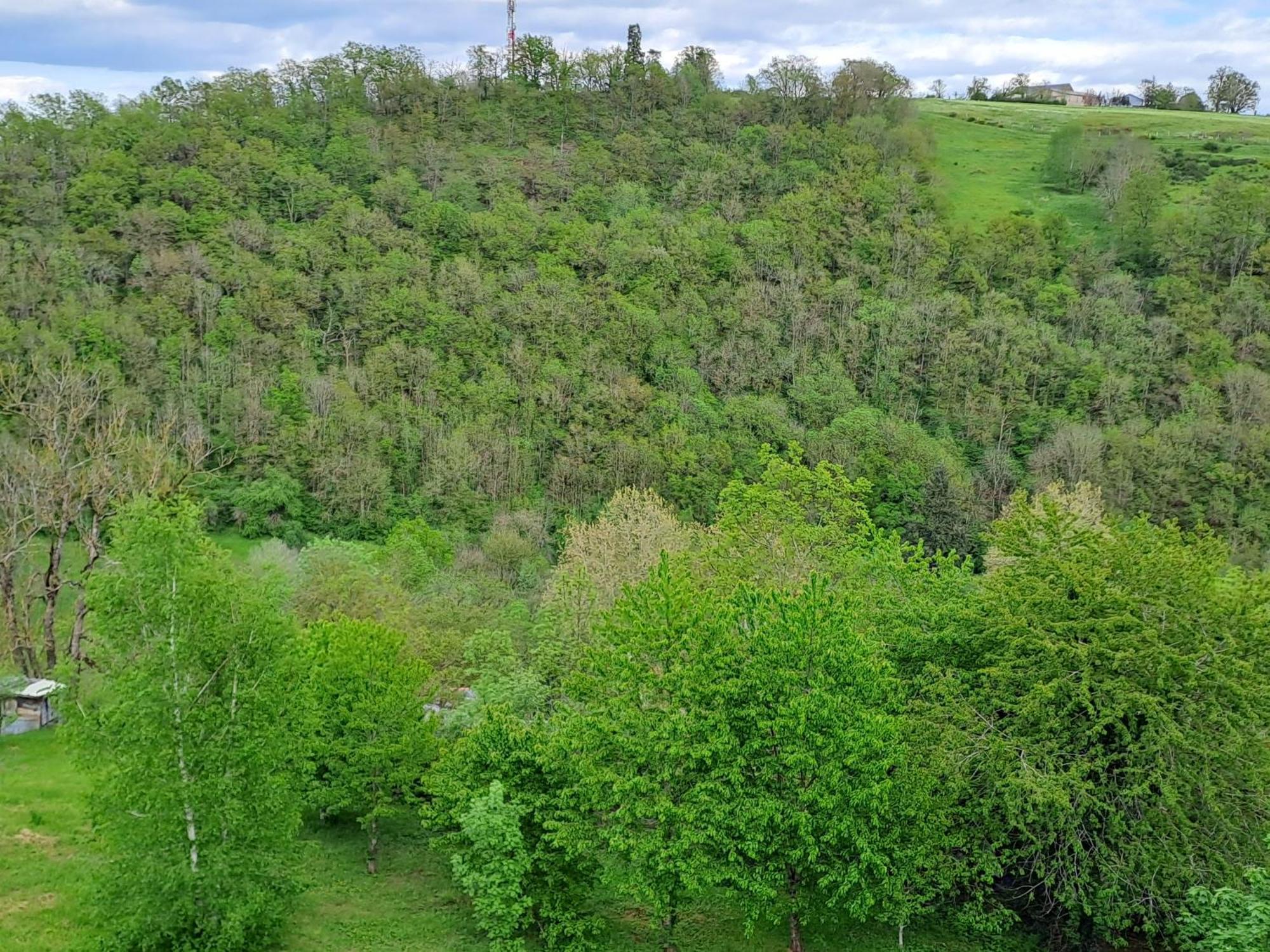 Agreable T2 Classe 3 Etoiles, Refait A Neuf, Dans Quartier Calme Rodez Exterior foto
